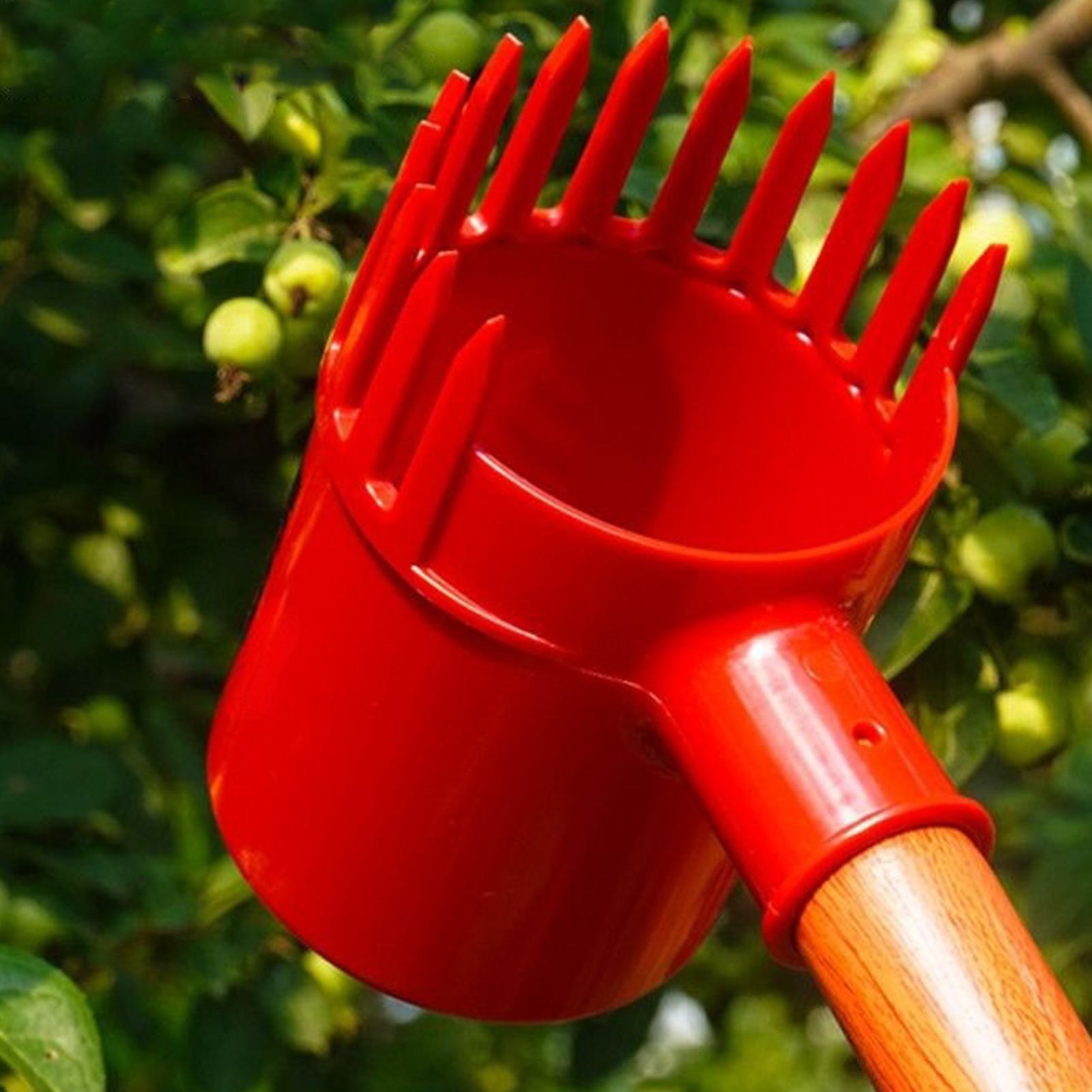 Agriculture Tomato Farming - Tragbarer Obstpflücker: Erntewerkzeug für Kirschen, Tomaten