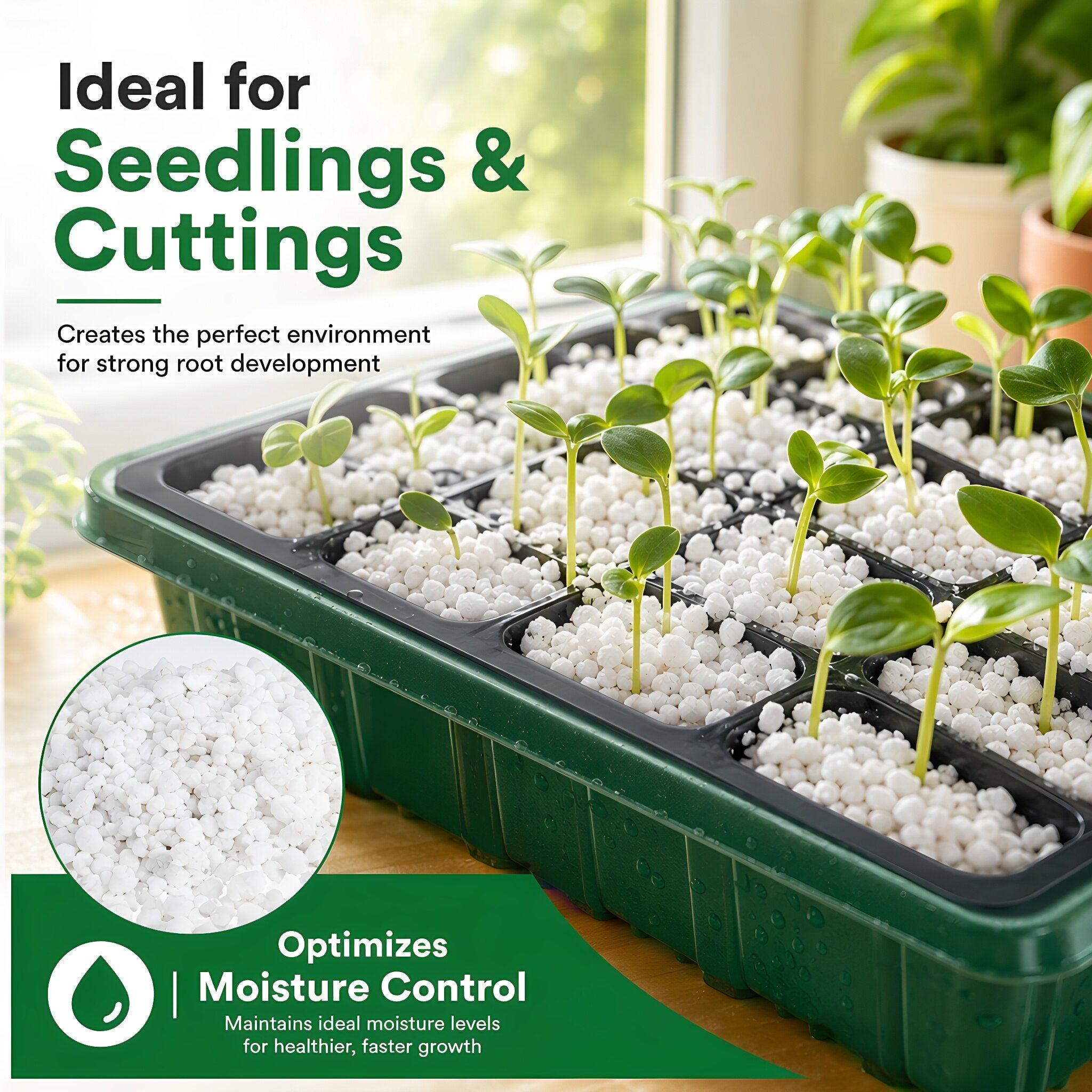 Gartenbau-Perlit für Pflanzen  – Horticulture Soil Perlite Bewertung und Preis