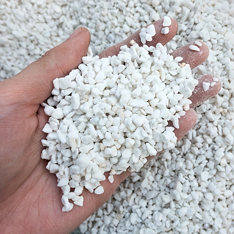 1 Packung 3-6mm Garten-Perlit  – Horticulture Soil Perlite Bewertung und Preis