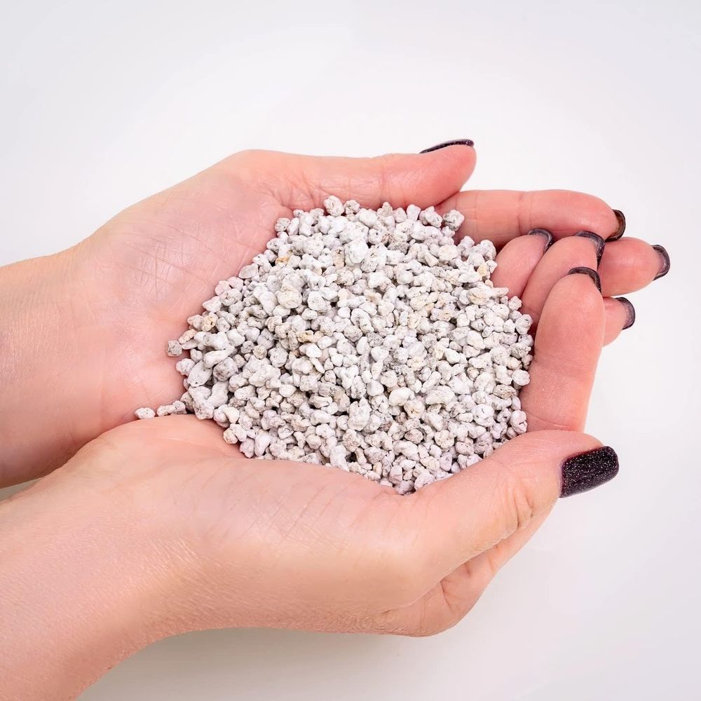 Organisches Perlit - Mittlere  – Horticulture Soil Perlite Bewertung und Preis